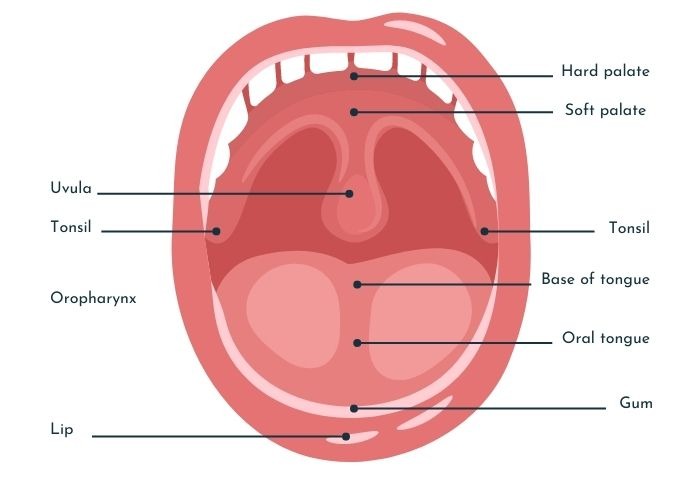 Oral Cancer Screening in East Vic Park